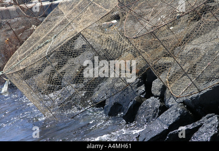 Lanzarote isole Canarie Spagna Foto Stock