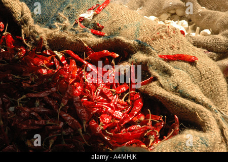 Chilis nel mercato delle spezie Kerala India Foto Stock