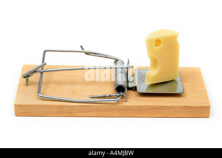 Mousetrap innescata con formaggio Foto Stock