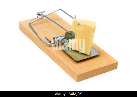 Mousetrap innescata con formaggio Foto Stock