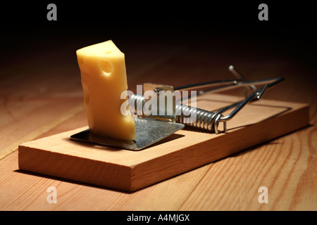 Mousetrap innescata con formaggio Foto Stock