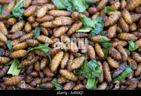 Larve di bachi da seta in vendita al mercato di Chatuchak a Bangkok, Thailandia - un esempio dello strano o strano cibo mangiato dalle persone di tutto il mondo Foto Stock