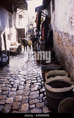 Il Marocco Fes el Bali Dyers souk della medina Foto Stock