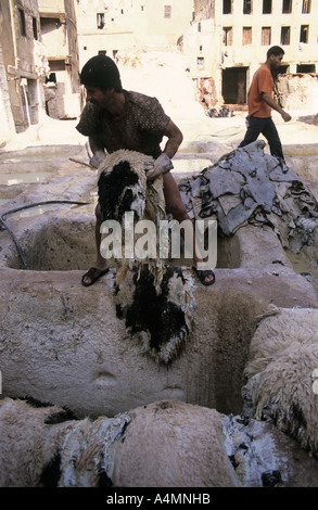 Fes el Bali, Marocco. Concerie Foto Stock