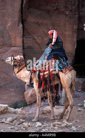 Beduina giordani pilota sul suo cammello indossa una keffiyah un velo a scacchi come indossato in tutto il Medio Oriente Petra Giordania Foto Stock