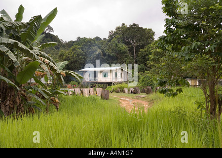 Borneo malese Sarawak Belaga dimora locale attraverso campi coltivati Foto Stock