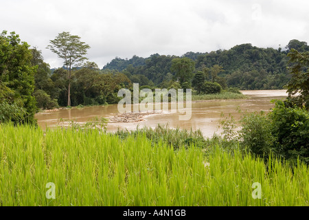 Borneo malese Sarawak Belaga curva nel fiume Rejang attraverso campi coltivati Foto Stock