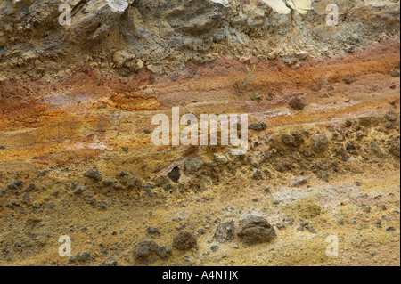 Piccoli scogli racchiusi in giallo e arancione di strati di lava di depositi in antica colata lavica esposti in El Parco Nazionale del Teide Foto Stock