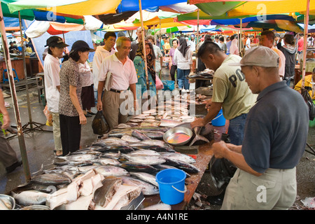 Borneo malese Sarawak Kuching mercato domenicale di stallo di pesce Foto Stock