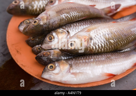 Borneo malese Sarawak Kuching domenica piastra di mercato di pesci di piccole dimensioni Foto Stock