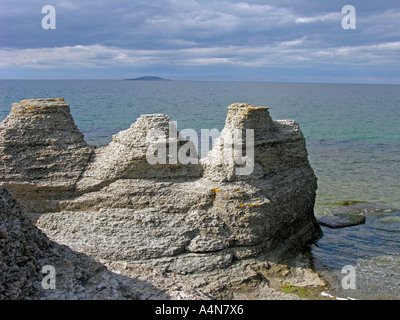 Byerums Raukar offerte straordinarie forme di calcare in Byerum sulla costa occidentale dell isola Oland Foto Stock