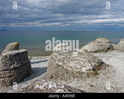 Byerums Raukar offerte straordinarie forme di calcare in Byerum sulla costa occidentale dell isola Oland Foto Stock
