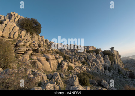 Interesse geologico area del Torcal de Antequera Málaga Spagna Foto Stock