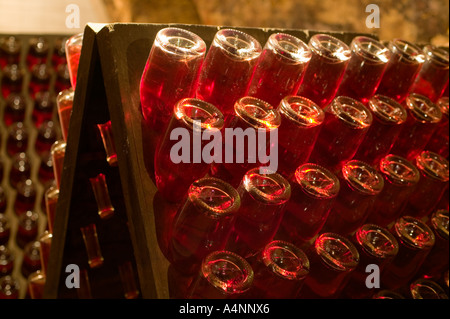 Champagne Rosé la fermentazione in bottiglia, Epernay, Francia Foto Stock