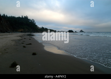 Indian Beach a Ecola State Park sulla costa dell'Oregon. Foto Stock