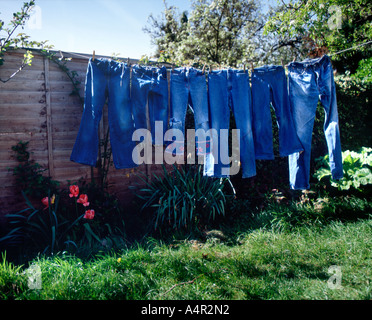 Sei paia di jeans blu appeso sulla linea di lavaggio in giardino Foto Stock