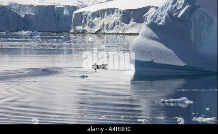 Zodiac craft barca a vela da un enorme iceberg nella baia de Cuverville vicino Danko isola in Antartide Foto Stock