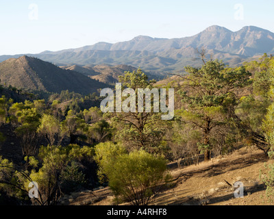 Vista di Flinders Ranges National Park durante un viaggio bunyeroo sentiero vicino a Wilpena Pound South Australia Foto Stock