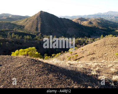 Vista di Flinders Ranges National Park durante un viaggio bunyeroo sentiero vicino a Wilpena Pound South Australia Foto Stock