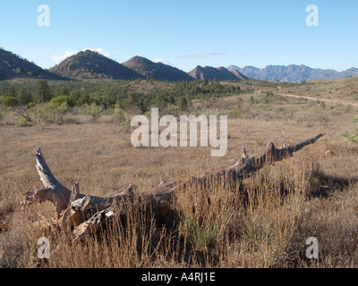 Vista di Flinders Ranges National Park durante un viaggio bunyeroo sentiero vicino a Wilpena Pound South Australia Foto Stock