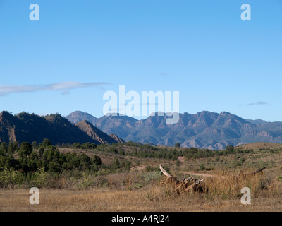 Vista di Flinders Ranges National Park durante un viaggio bunyeroo sentiero vicino a Wilpena Pound South Australia Foto Stock