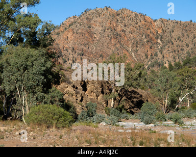 Vista di flinders national park durante un viaggio bunyeroo sentiero vicino a Wilpena Pound South Australia Foto Stock