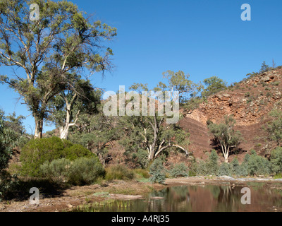 Vista di flinders national park durante un viaggio bunyeroo sentiero vicino a Wilpena Pound South Australia Foto Stock