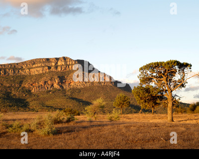 Vista da vicino Rawnsley Park Station di rawnsley bluff vicino a Wilpena Pound Flinders Ranges National Park South Australia Foto Stock