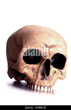 La morte la testa cranio Schädel Totenkopf Foto Stock