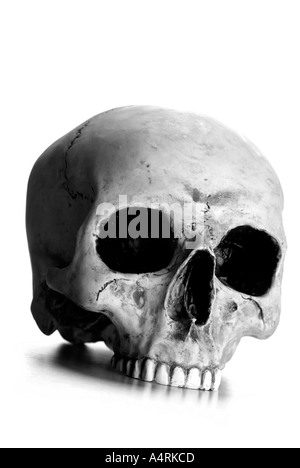 La morte la testa cranio Schädel Totenkopf Foto Stock