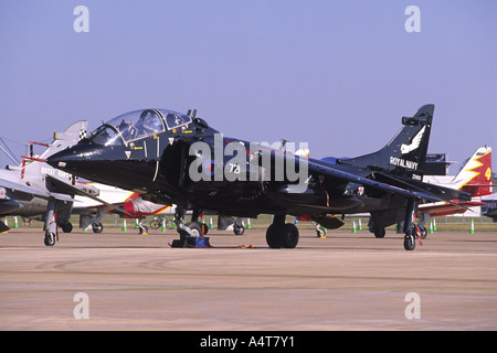 BAe Sea Harrier T8 jump jet trainer azionato dalla Royal Navy's Fleet Air Arm, sul display a RAf Fairford, UK. Foto Stock