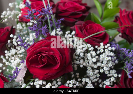 Bouquet di rose rosse Foto Stock