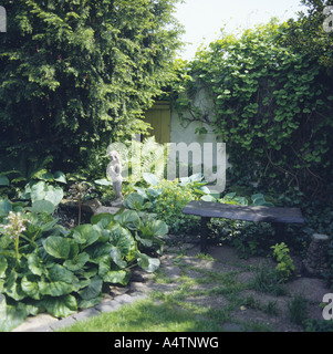 In legno rustico banco banco piccolo albero in angolo ombreggiato del giardino con arbusto di arrampicata su muro bianco Foto Stock