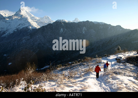 Escursionisti scendere Poon Hill nell'Annapurna Himalayan Mountain Range Foto Stock