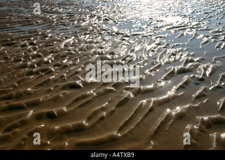 Sabbia bagnata increspature Foto Stock