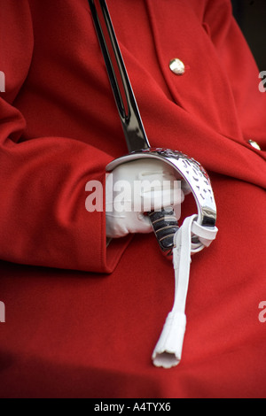 Close up dettaglio del Queens Lifeguard Horseguards Parade Whitehall London Inghilterra England Foto Stock