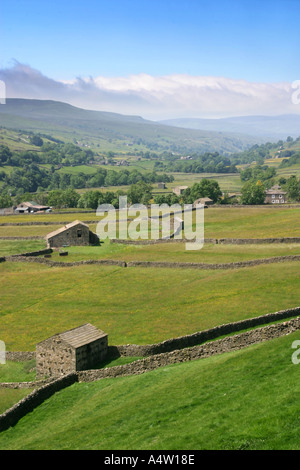 Gli edifici in pietra e i terreni agricoli in Swaledale Yorkshire Dales Foto Stock