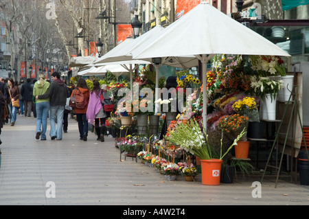 Pressione di stallo di fiori su La Rambla, Barcelona, Spagna Foto Stock