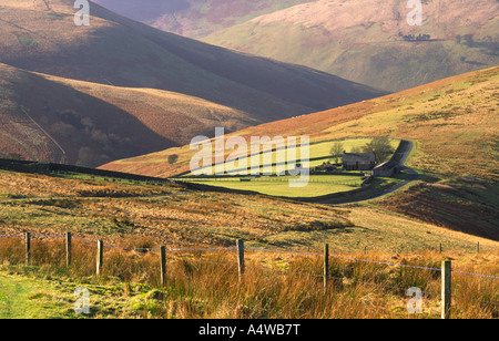 Il sole invernale scozzese di avvolgimento su strada il suo modo intorno al rotolamento sulle colline di confine di una casa Carewoodrig vicino Langholm Scotland Regno Unito Foto Stock