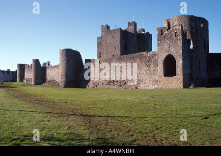 Castello di Trim nella contea di Meath, Irlanda Foto Stock