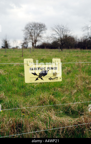 Segno di avvertimento del recinto elettrico nel campo di Somerset England Regno Unito Foto Stock