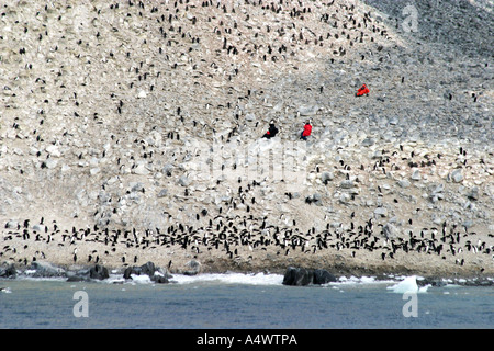 Adele colonia di pinguini sull isola Paulet vista dal ponte di un icebreaker nave da crociera in Antartide con tourist on shore fotogr Foto Stock