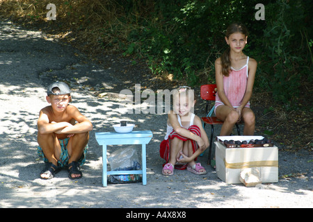 Gli adolescenti vendita prugne sulla strada di Livadia, Crimea, Ucraina. Foto Stock