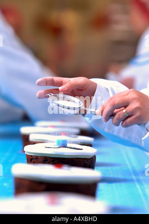 Linea di produzione i lavoratori aggiungendo i tocchi di rifinitura per i dolci di Natale DESTINATO PER IL REGNO UNITO PER I SUPERMERCATI Foto Stock