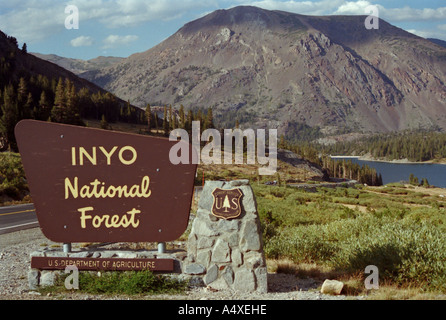 Inyo National Park Foto Stock