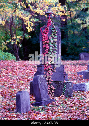 Le lapidi nel cimitero della città e la caduta delle foglie autunno Meadville Pennsylvania USA Foto Stock