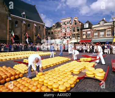NL - Noord Holland: il mercato del formaggio di Alkmaar Foto Stock
