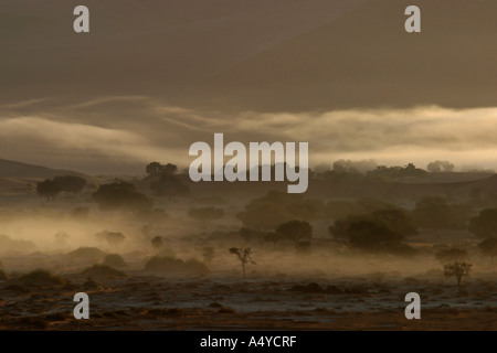 La nebbia dall'oceano atlantico () tra le dune rosse. Sossusvlei, Namibia Foto Stock