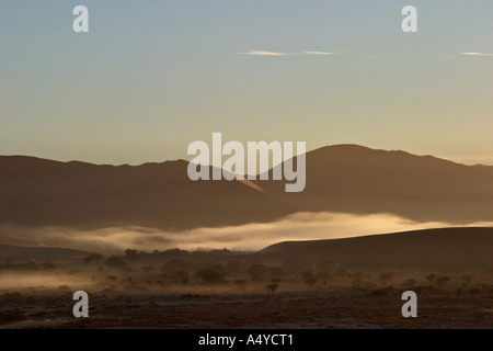 La nebbia dall'oceano atlantico () tra le dune rosse. Sossusvlei, Namib Desert, Namibia Foto Stock