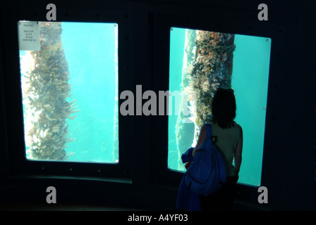 Australia WA Busselton esperienza subacquea vista dal basso con tourist Foto Stock